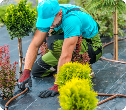 Pengurusan Sisa01 2 14, Perancang Laluan Zeo