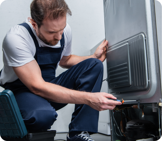 Nri azụmaahịa 1, Onye nhazi ụzọ Zeo